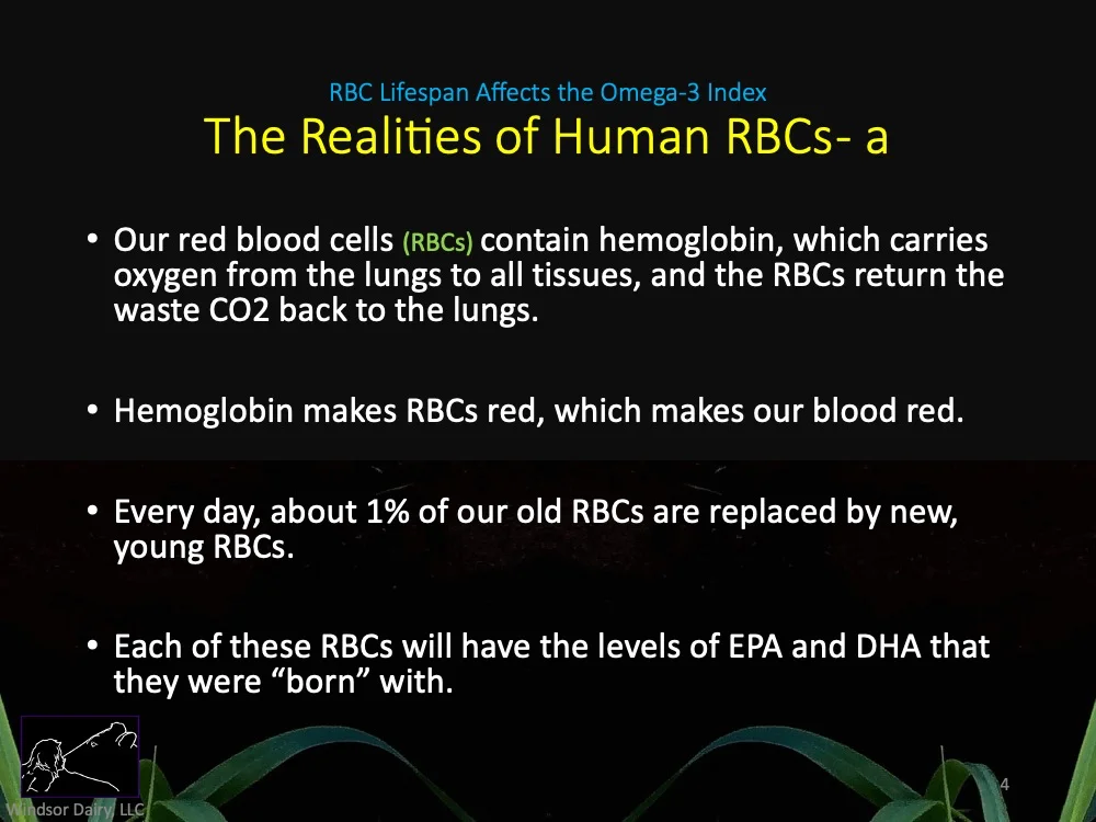 RBC Lifespan and Omega-3 Index Testing: Helping You Decide When to Have Your Omega-3 Index Test Performed